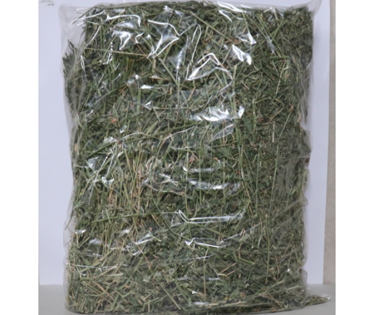 Lucerne Hay