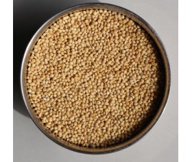 French White Millet